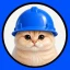 BASECAT图标